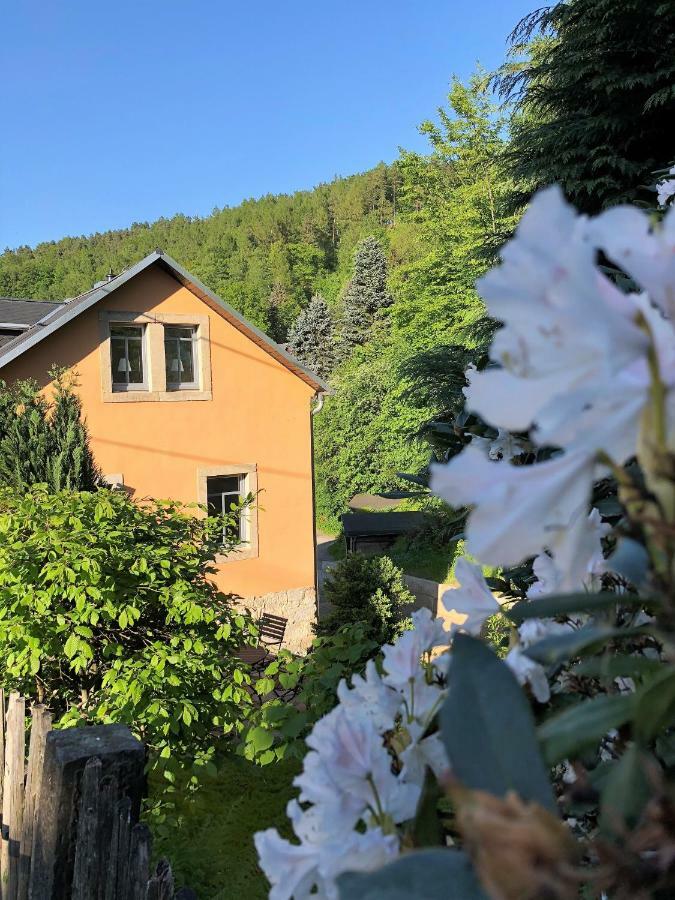 Appartamento Fuchsbau Königstein Esterno foto